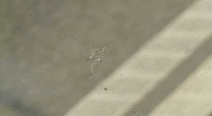 Lire la suite à propos de l’article Pourquoi la réparation de votre pare-brise est-elle une option rentable ?